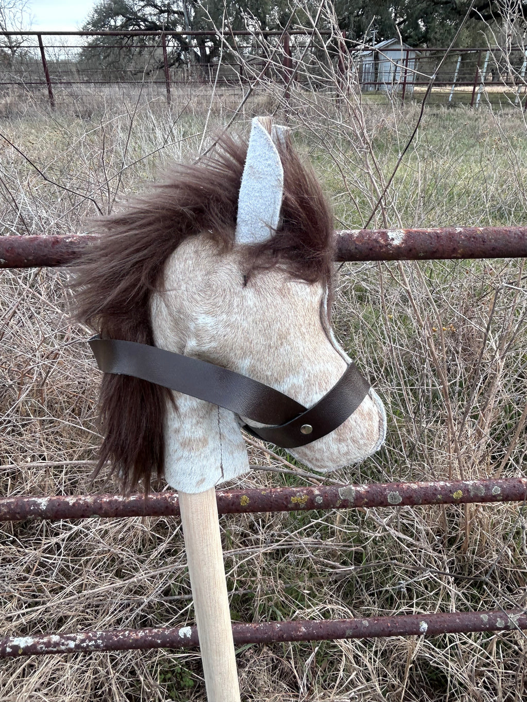 The Little Buckaroo Stick Horse