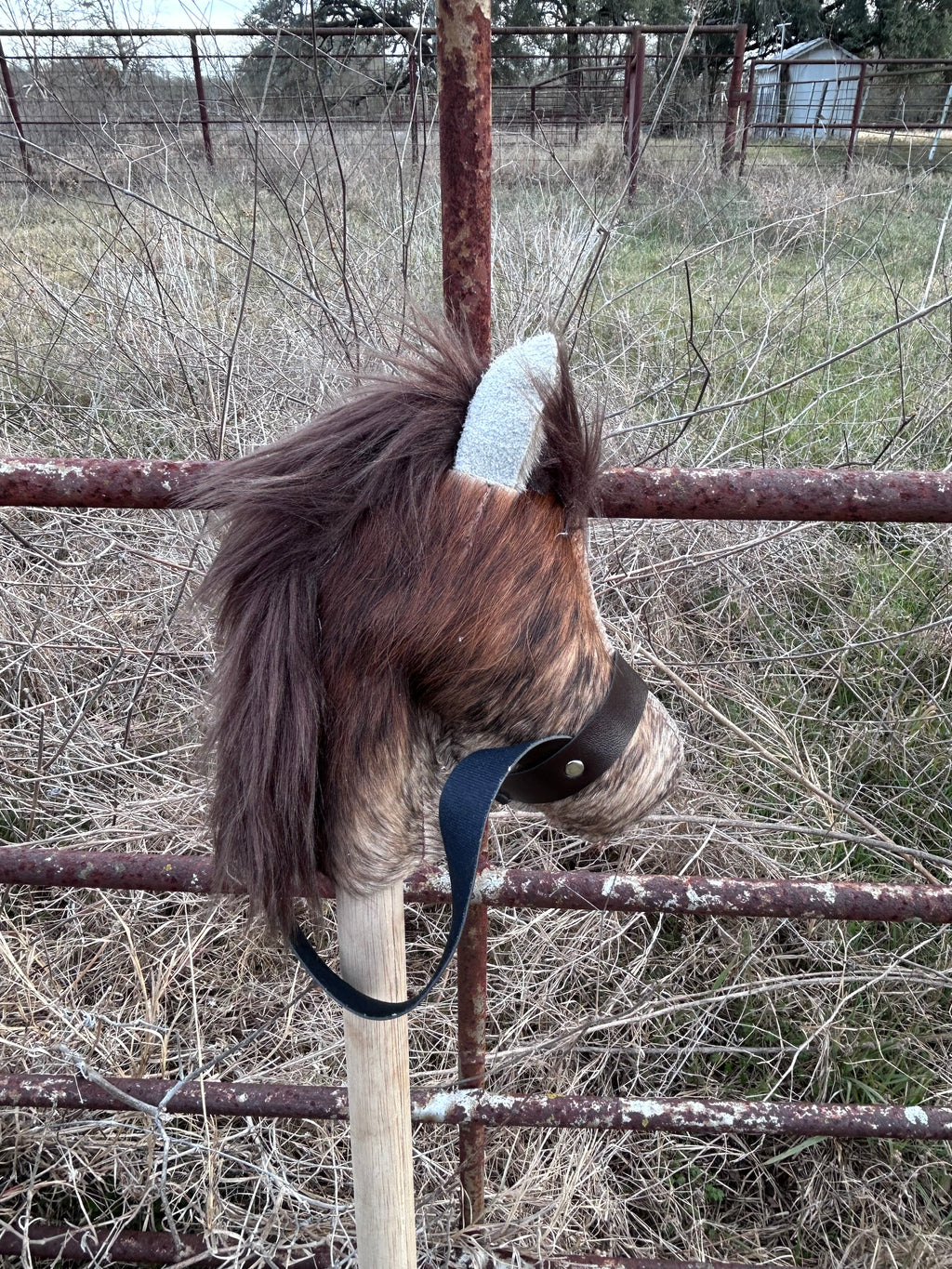 The Little Buckaroo Stick Horse